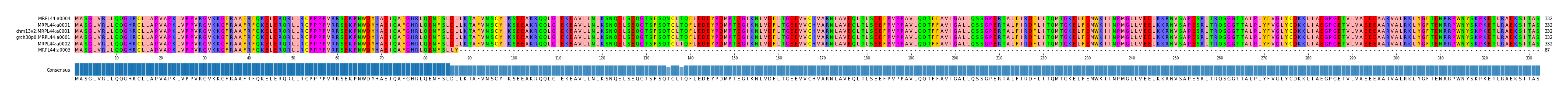 Multiple Alignments (by translate haplotype similarity)