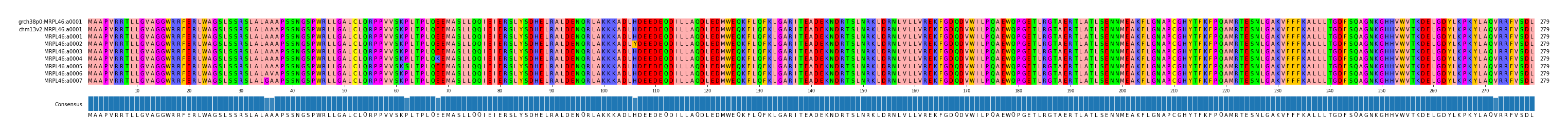 Multiple Alignments (by translate haplotype frequency)