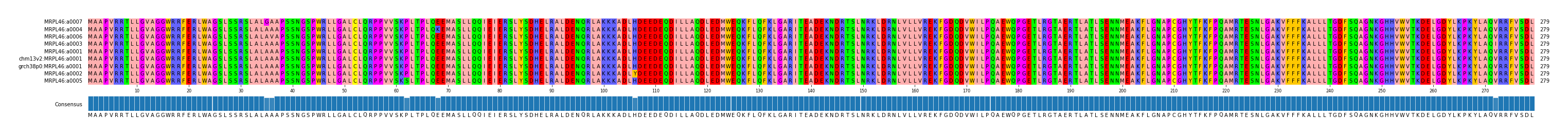 Multiple Alignments (by translate haplotype similarity)