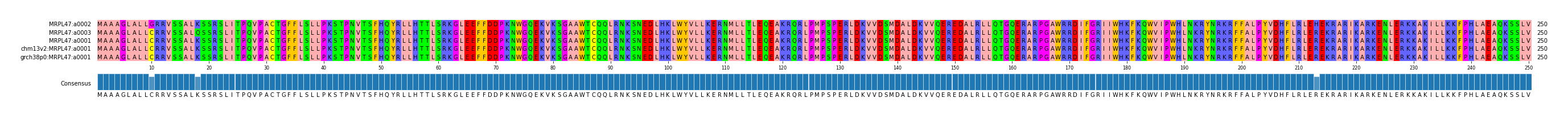 Multiple Alignments (by translate haplotype similarity)