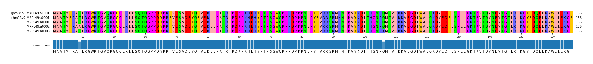 Multiple Alignments (by translate haplotype frequency)