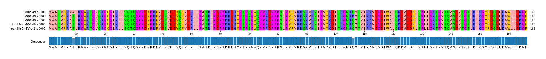 Multiple Alignments (by translate haplotype similarity)