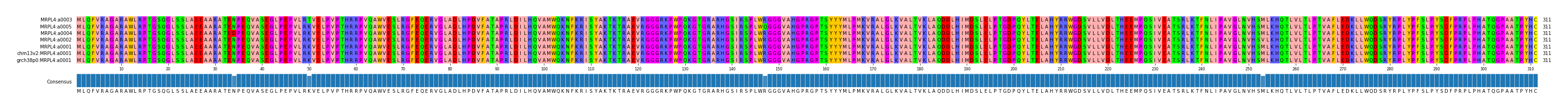 Multiple Alignments (by translate haplotype similarity)