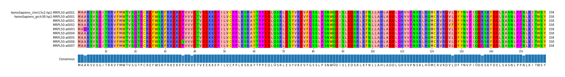 Multiple Alignments (by translate haplotype frequency)