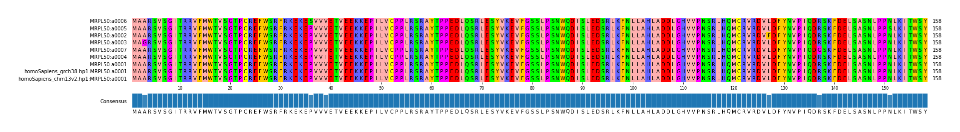 Multiple Alignments (by translate haplotype similarity)