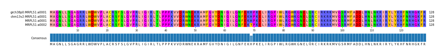 Multiple Alignments (by translate haplotype similarity)