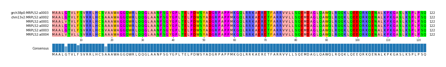 Multiple Alignments (by translate haplotype frequency)