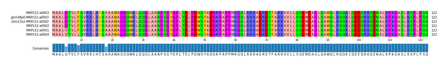 Multiple Alignments (by translate haplotype similarity)