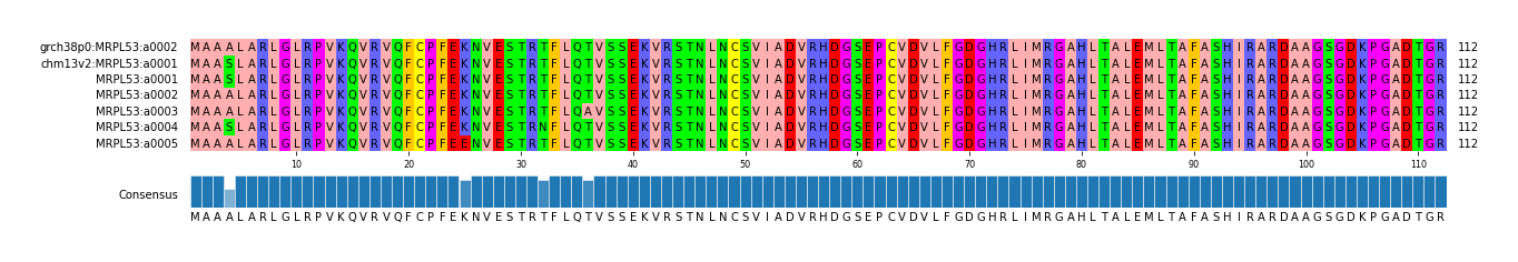 Multiple Alignments (by translate haplotype frequency)