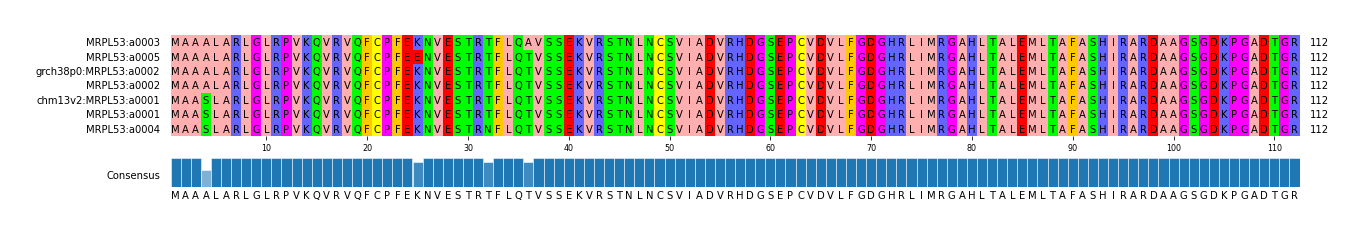 Multiple Alignments (by translate haplotype similarity)