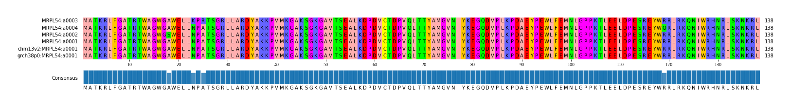 Multiple Alignments (by translate haplotype similarity)