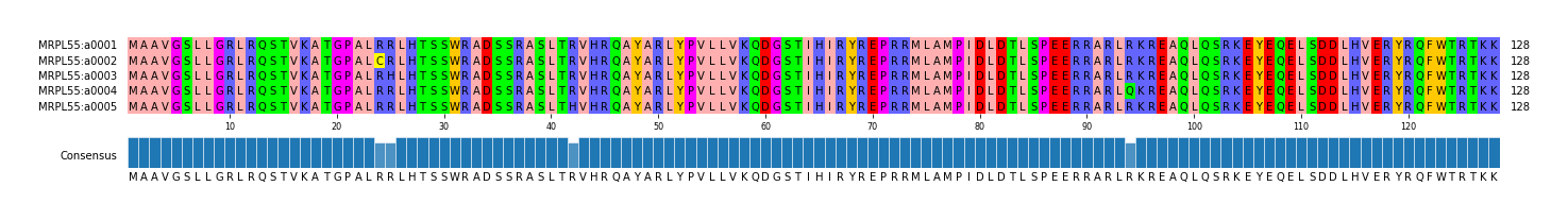 Multiple Alignments (by translate haplotype frequency)