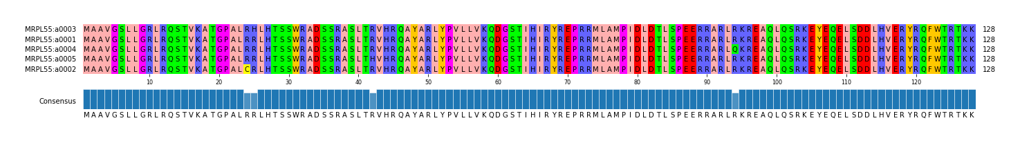 Multiple Alignments (by translate haplotype similarity)