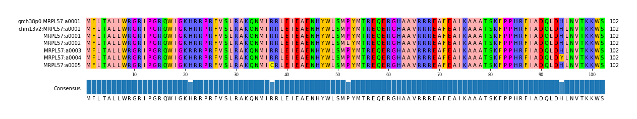 Multiple Alignments (by translate haplotype frequency)