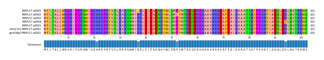 Multiple Alignments (by translate haplotype similarity)
