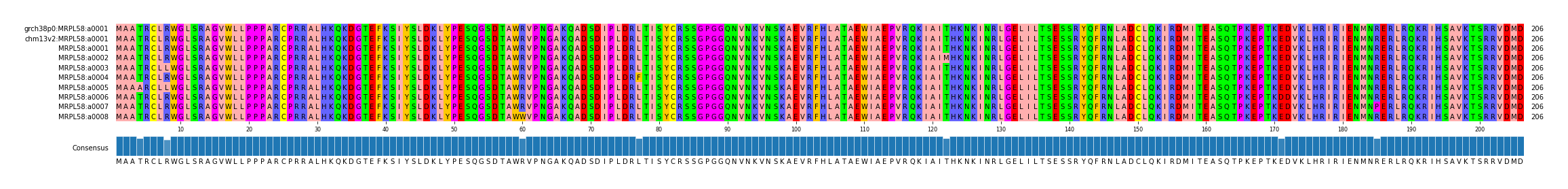 Multiple Alignments (by translate haplotype frequency)