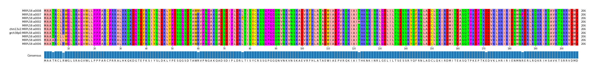 Multiple Alignments (by translate haplotype similarity)