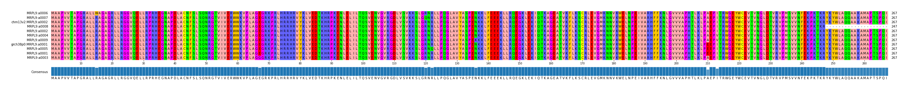 Multiple Alignments (by translate haplotype similarity)