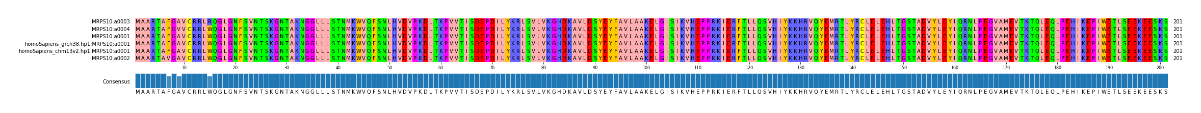 Multiple Alignments (by translate haplotype similarity)