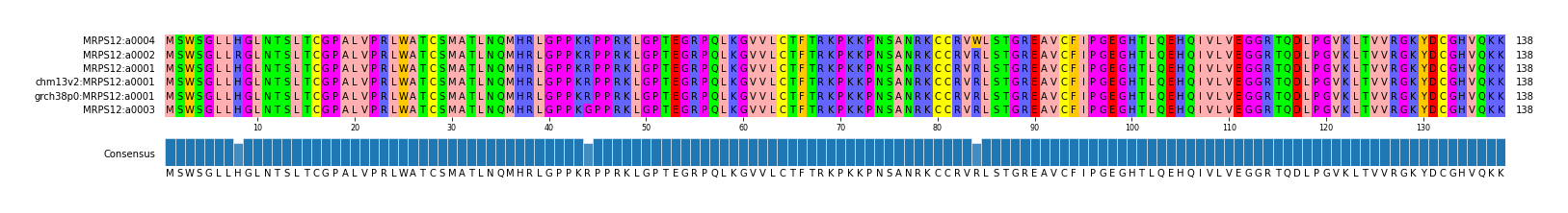 Multiple Alignments (by translate haplotype similarity)