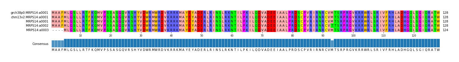 Multiple Alignments (by translate haplotype frequency)