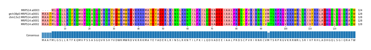 Multiple Alignments (by translate haplotype similarity)
