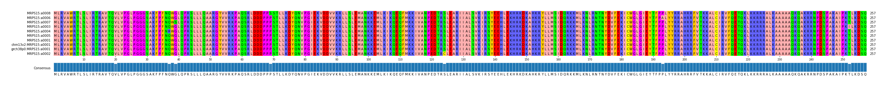 Multiple Alignments (by translate haplotype similarity)