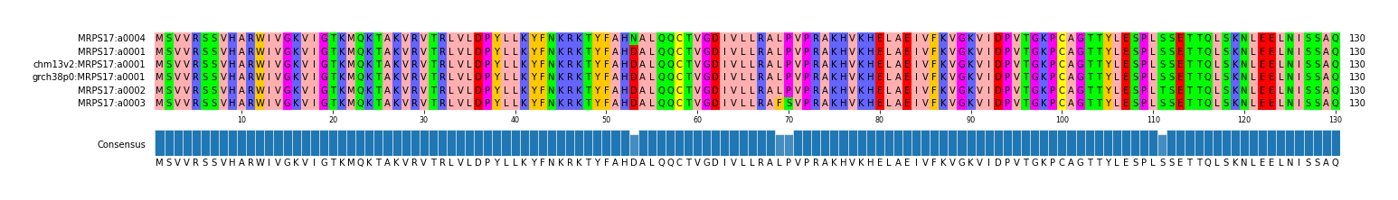 Multiple Alignments (by translate haplotype similarity)