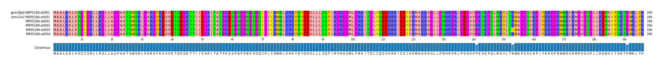Multiple Alignments (by translate haplotype frequency)
