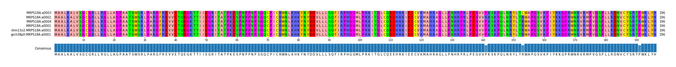 Multiple Alignments (by translate haplotype similarity)