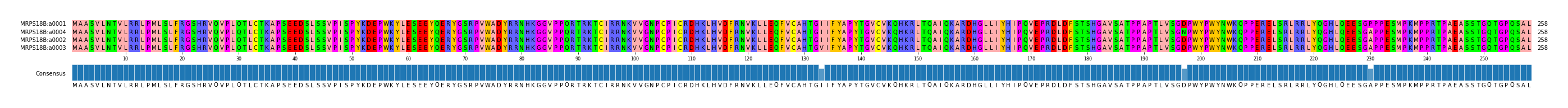Multiple Alignments (by translate haplotype similarity)