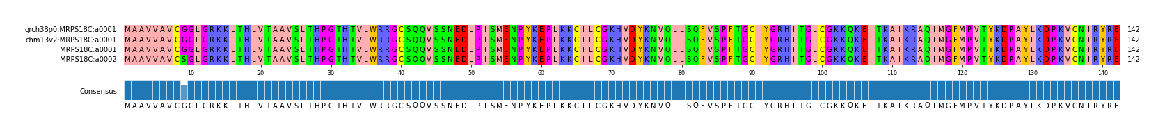 Multiple Alignments (by translate haplotype similarity)
