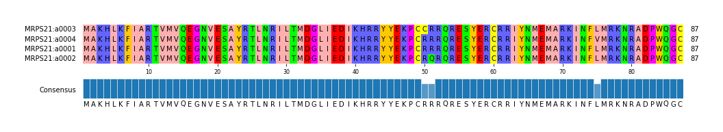 Multiple Alignments (by translate haplotype similarity)