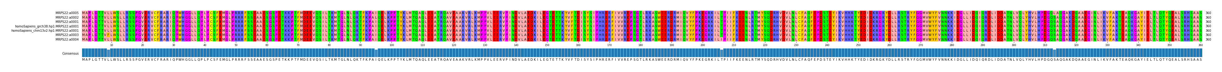 Multiple Alignments (by translate haplotype similarity)