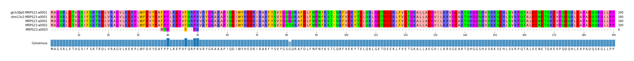 Multiple Alignments (by translate haplotype frequency)