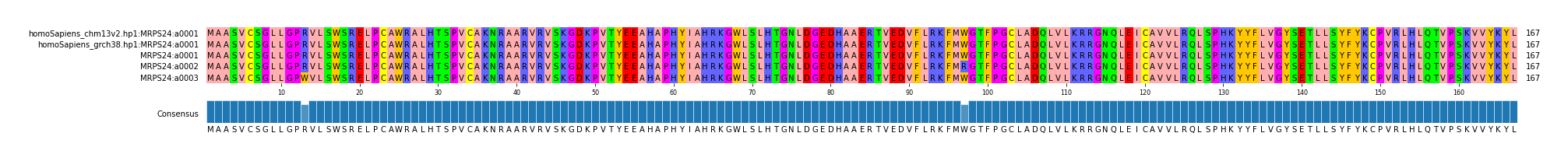 Multiple Alignments (by translate haplotype frequency)