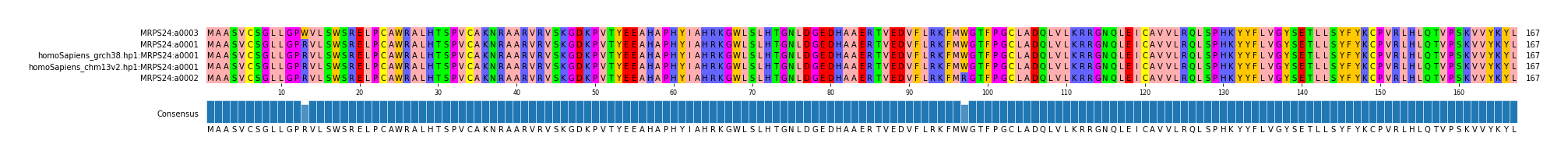 Multiple Alignments (by translate haplotype similarity)