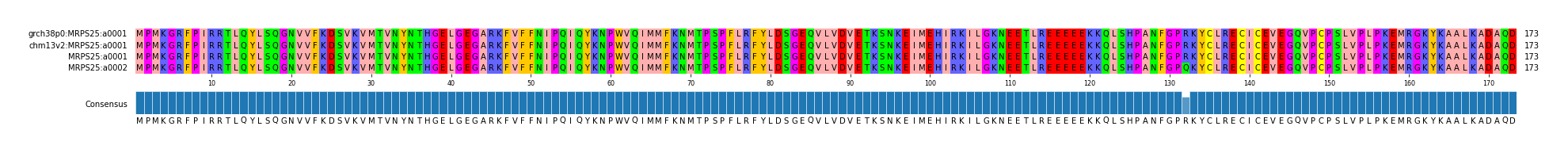 Multiple Alignments (by translate haplotype similarity)