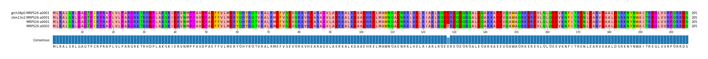 Multiple Alignments (by translate haplotype similarity)