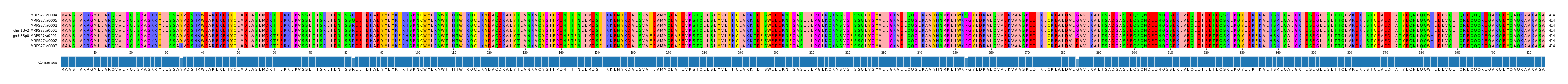 Multiple Alignments (by translate haplotype similarity)