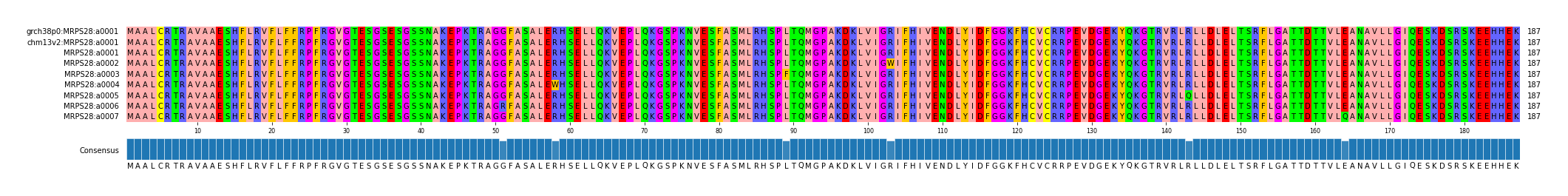 Multiple Alignments (by translate haplotype frequency)