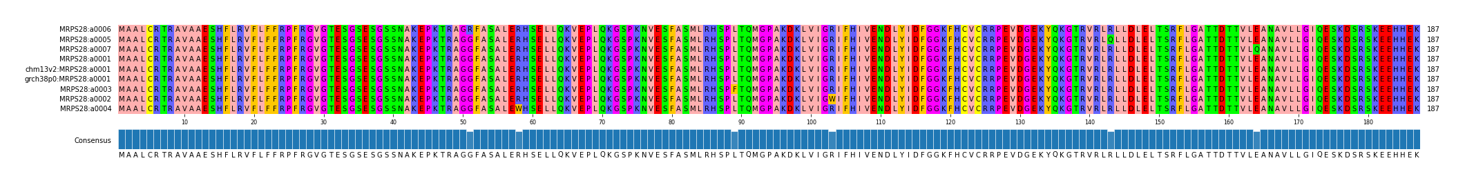 Multiple Alignments (by translate haplotype similarity)