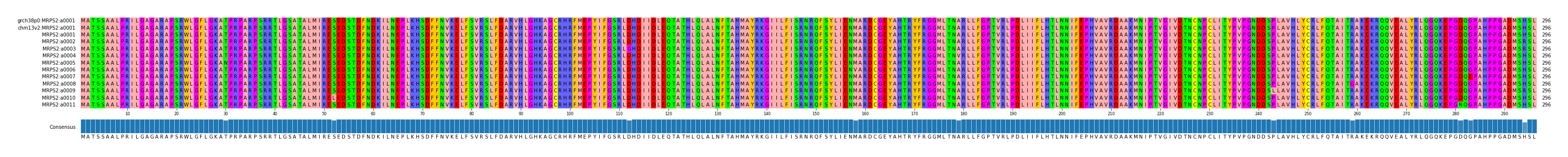Multiple Alignments (by translate haplotype frequency)