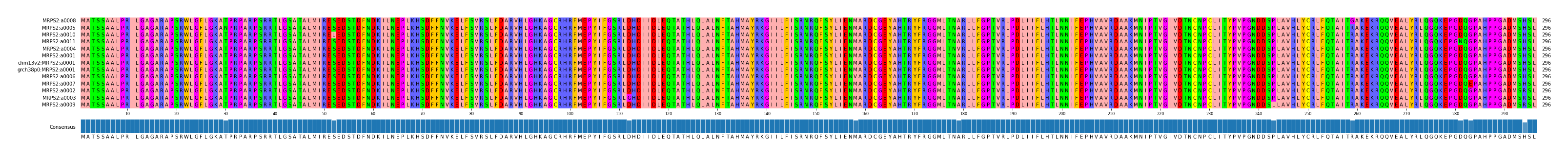 Multiple Alignments (by translate haplotype similarity)