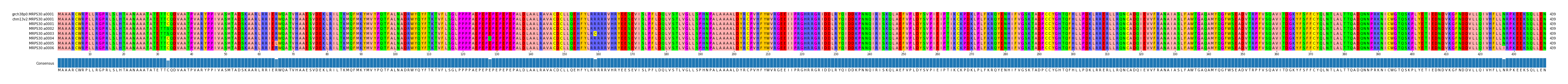 Multiple Alignments (by translate haplotype frequency)