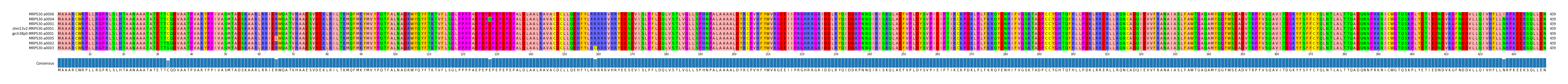 Multiple Alignments (by translate haplotype similarity)
