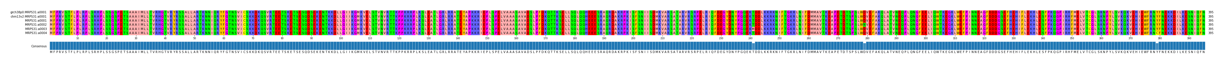 Multiple Alignments (by translate haplotype frequency)