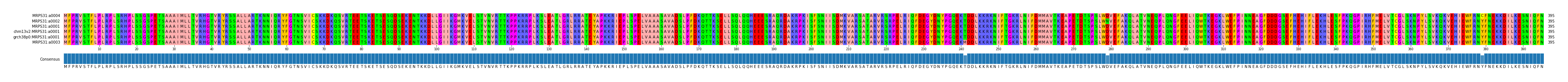Multiple Alignments (by translate haplotype similarity)