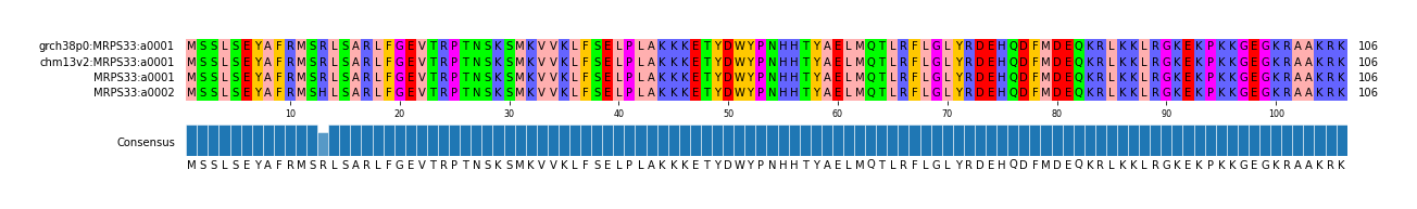 Multiple Alignments (by translate haplotype similarity)