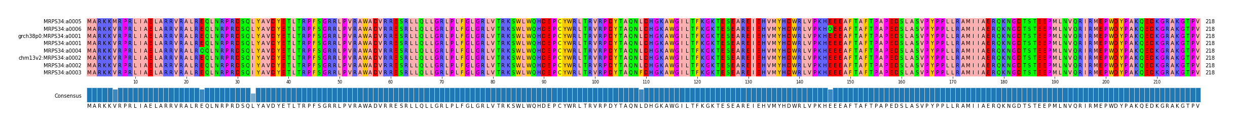 Multiple Alignments (by translate haplotype similarity)